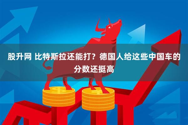 股升网 比特斯拉还能打？德国人给这些中国车的分数还挺高