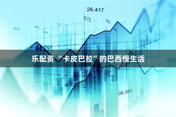 乐配资 “卡皮巴拉”的巴西慢生活