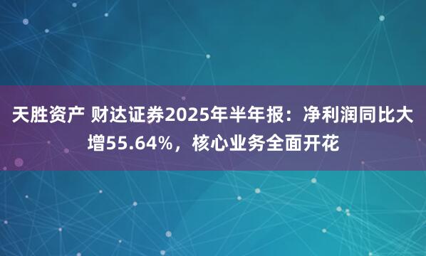 天胜资产 财达证券2025年半年报：净利润同比大增55.64%，核心业务全面开花