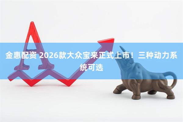 金惠配资 2026款大众宝来正式上市!三种动力系统可选