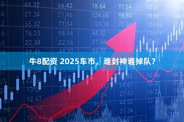 牛8配资 2025车市，谁封神谁掉队？