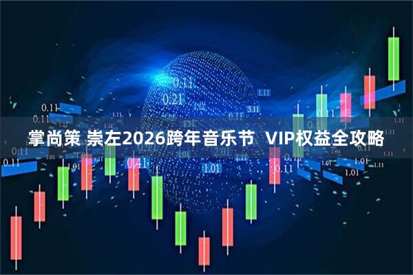 掌尚策 崇左2026跨年音乐节  VIP权益全攻略